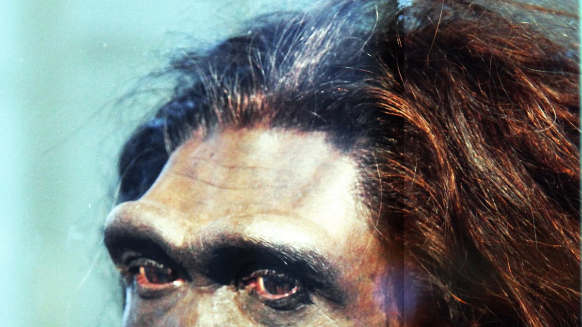 Quand l’homme a-t-il maîtrisé le feu ?