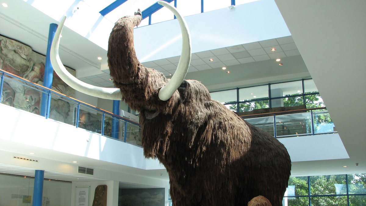 Pourquoi les mammouths ont-ils disparu ?