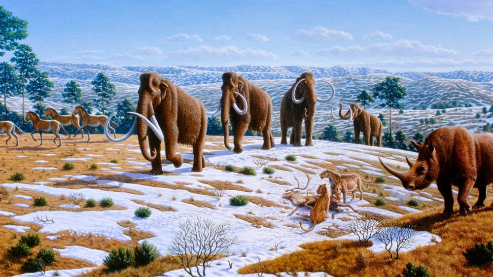 Faune de l'âge glaciaire