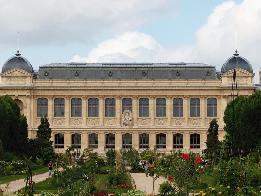 La Grande Galerie de l’Évolution, à Paris