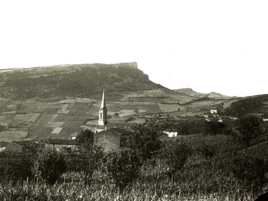 La Roche et le vignoble
