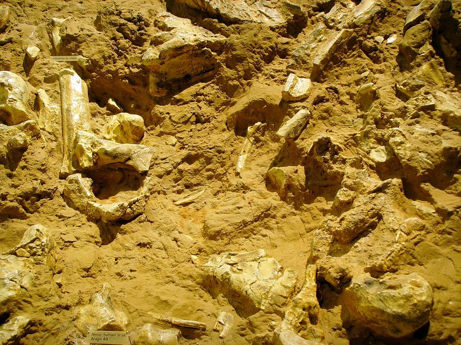 La Caune de l’Arago