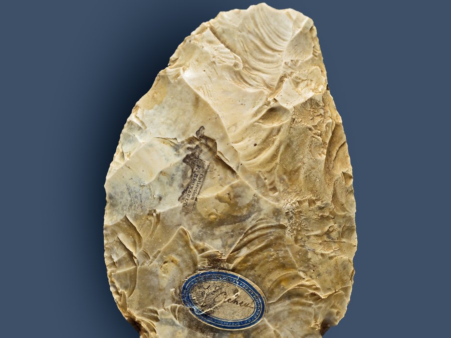 Biface acheuléen, au Muséum de Toulouse