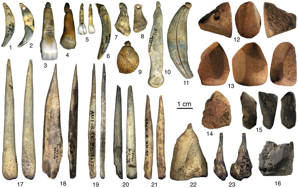 Parures de la Grotte du Renne : dents percées, poinçons (Arcy)