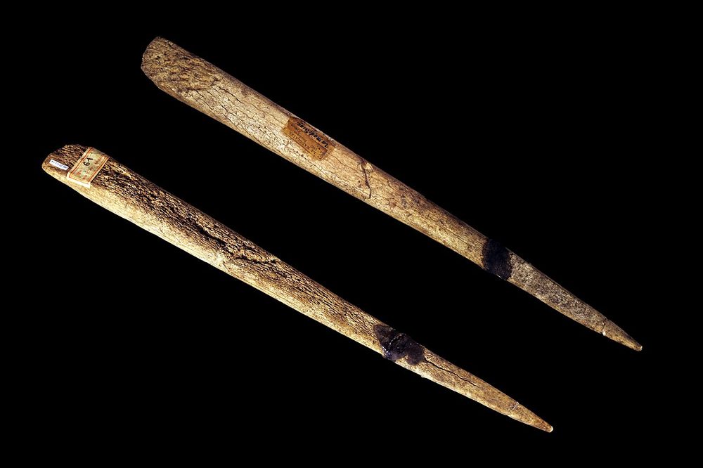 Sagaie magdalénienne à base biseautée, La Madeleine (Dordogne)