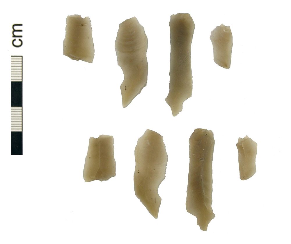 Microlithes en silex : lamelles et segments (Mésolithique)