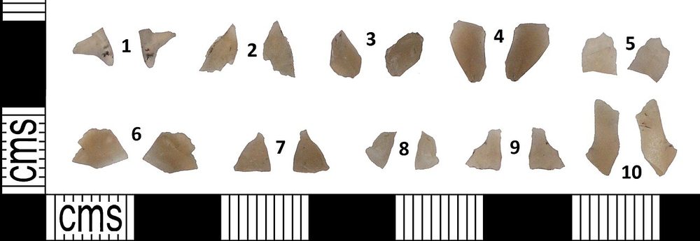 Panoplie de microlithes géométriques (typologie)