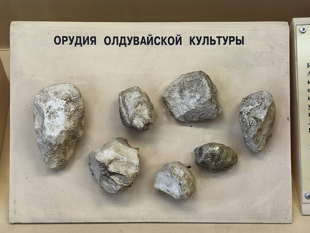 Outils oldowayens (choppers), musée Timiriazev