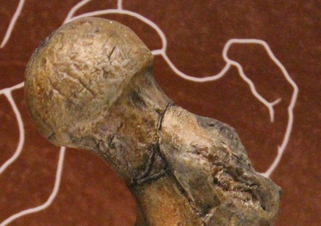 Orrorin tugenensis
